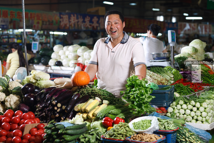 图片标题:     一个菜农在菜市场里卖菜 图片编号:     cpmh-36348