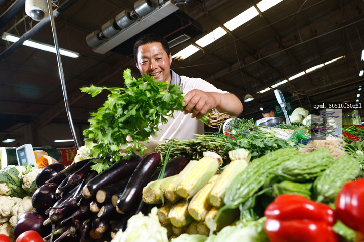 图片标题:     一个菜农在菜市场里卖菜 图片编号:     cpmh-36516