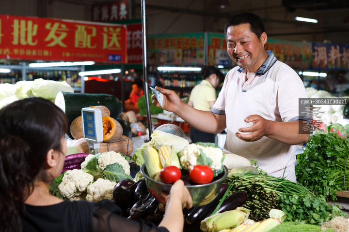 图片标题:     一个菜农在菜市场里卖菜 图片编号:     cpmh-31
